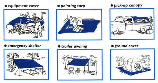 P.E. Tarp